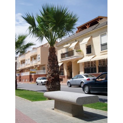 Banca din beton Abellir